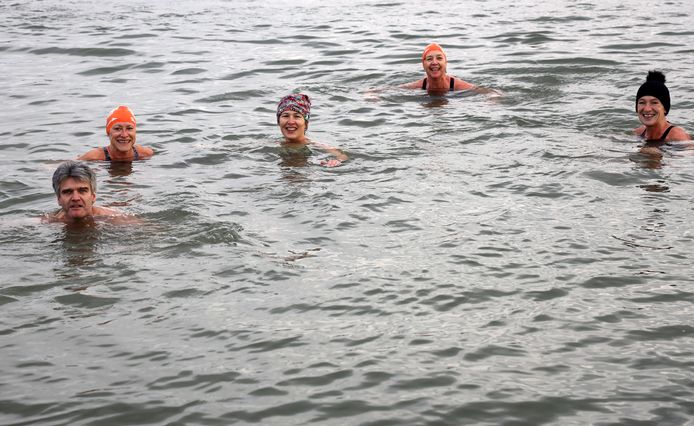 De IJsberen durven het aan in Paal, ook al is het water een graad of vijf.