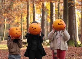 7x de leukste activiteiten voor kinderen in de herfstvakantie