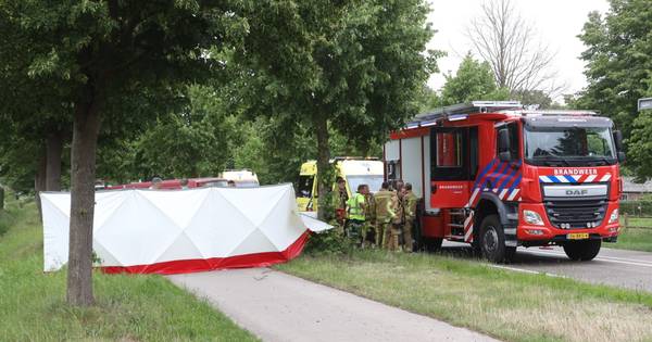 Man (75) uit Diessen omgekomen bij botsing tegen boom langs N395 richting Middelbeers - Eindhovens D