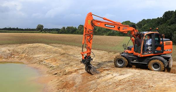 Varkensboer maakt nieuwe natuur in Beers | Maasland - De Gelderlander