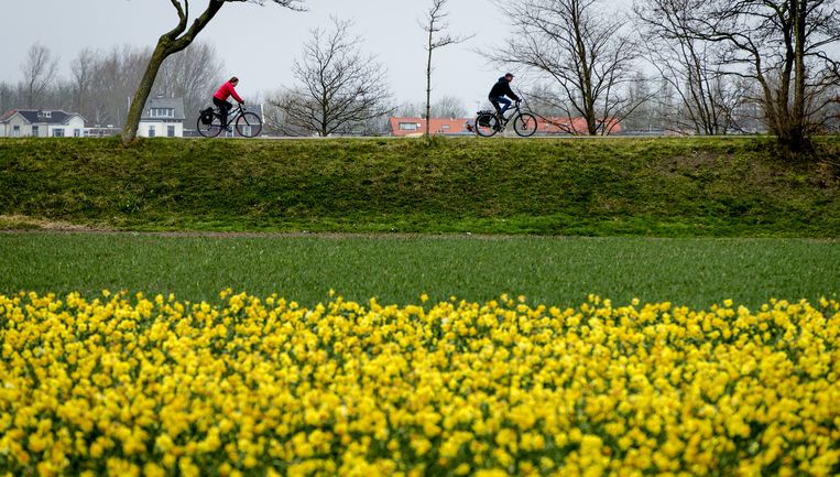 Afbeeldingsresultaat voor er is lente in aantocht