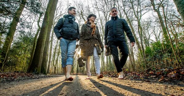Raadsels van schaduw en licht ontrafeld | Pagina twee - De Gelderlander