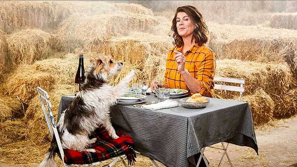 De streken van Van Boven