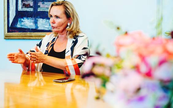 Liesbeth Homans (N-VA): ‘Aan alle mensen die hadden gehoopt dat ik erin zou blijven: helaas!’