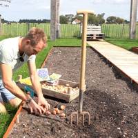 Een mooie voorjaarstuin betekent nú bloembollen planten