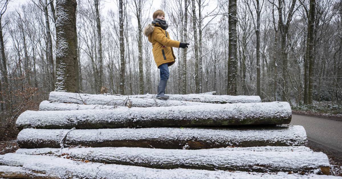 Frisse Zondag Met Kans Op Sneeuw In Limburg Binnenland Ed Nl