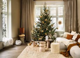 Dit zijn de opvallendste kerstboomtrends van 2024