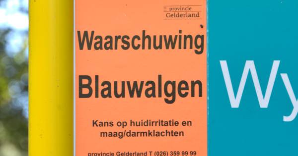 Beheerder wil Wylerbergmeer uitbaggeren maar stuit op verzet natuurorganisaties