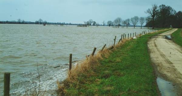 Waaldijk van Lent tot Andelst volledig op de schop - De Gelderlander