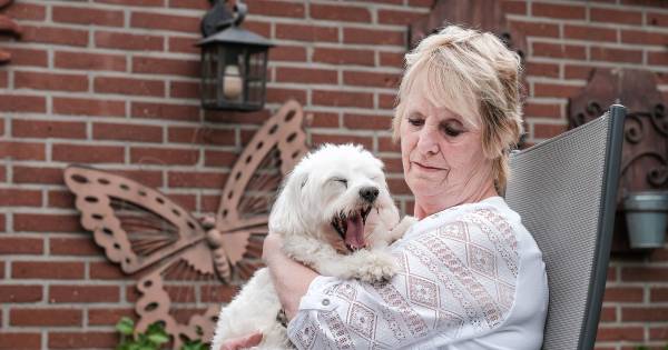 Muilkorf voor rottweiler die maltezer doodbeet in Silvolde