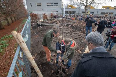 Een minibos op het schoolplein in Ede