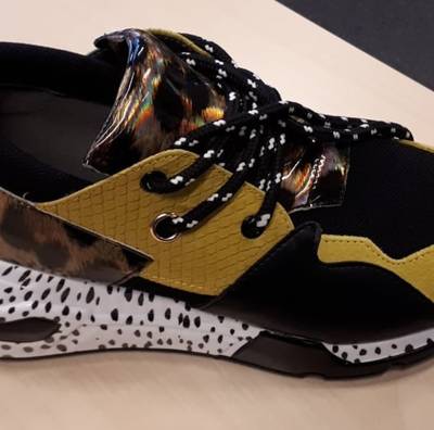 Dief steelt twee rechterschoenen uit Nijmeegse winkel