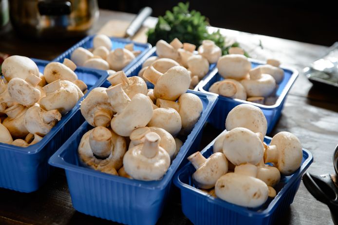 Dit iconische blauwe bakje verdwijnt binnenkort uit de schappen