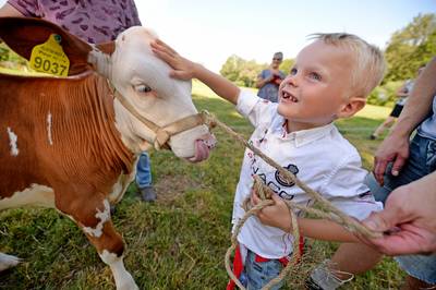 Kleinste fokveedag ooit in Diepenheim brengt passie voor boerenbusiness over