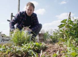 Boer Tom: zo gebruik je minder water in je tuin