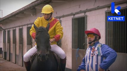 7. De Paardenrace
