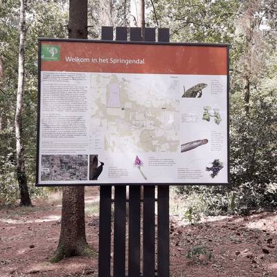 Uitleg over natuurherstel Springendal op nieuwe borden in Hezingen