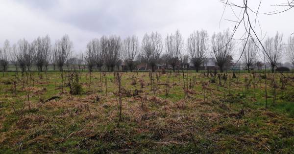 Recreatiepark landgoed De Acht Morgen krijgt ondanks scepsis groen licht