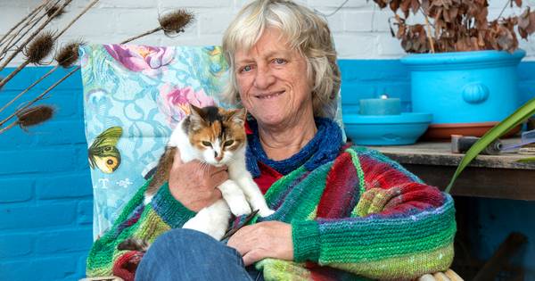 Bhutaanse Ashi is zelfs voor een kat eigenwijs - De Gelderlander