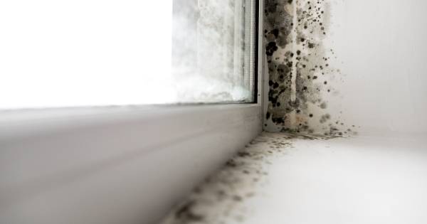 Zo houd je vocht uit huis: hang de was buiten te drogen en trek je douche droog - BN DeStem