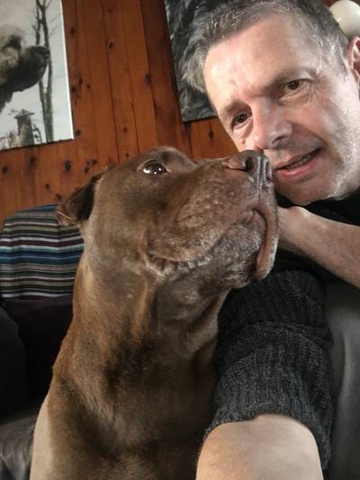 Asielhond Murdock na 6 jaar geadopteerd: 'Ik voelde me bijna schuldig'