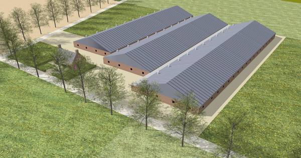 Oirschot: intrekken vergunningen stal aan Logtsebaan niet haalbaar