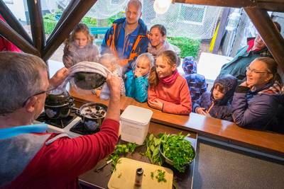 Nieuw festival Bruzzz met drie keer de Z van ‘Zilte, Zeeuwse Zaligheden’