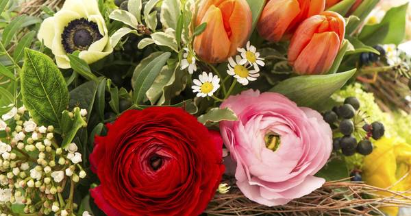 Gemeentelijk Compliment voor Jan van Dijk in Elsendorp