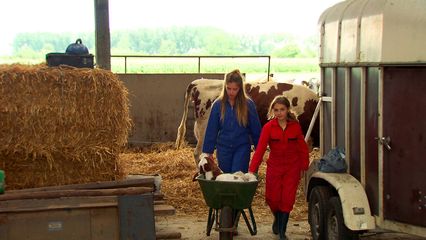 Aflevering 2