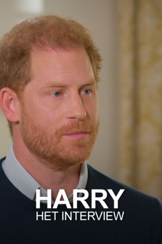 Harry: Het interview