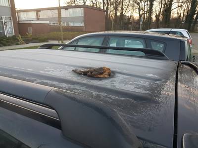 'Poepgooier' gedwongen verhuisd uit Doetinchem