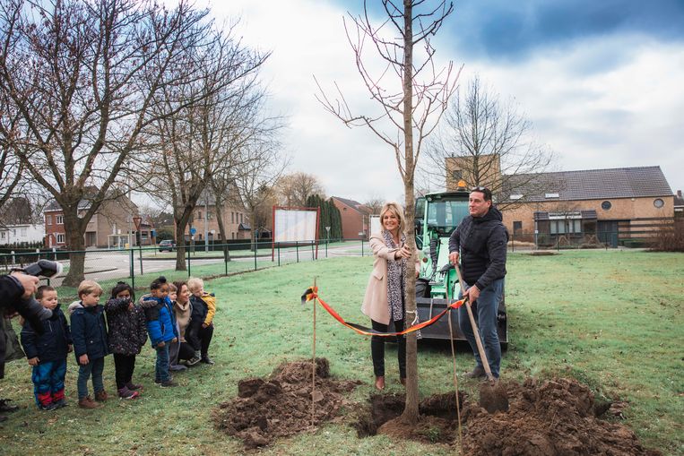 Basisschool Momentum plant klimaatboom | Sint-Truiden | In ...