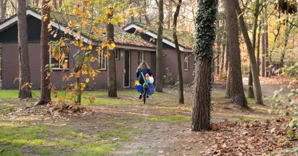 Parkmanager ontkent: Geen arbeidsmigranten op De Bikkels in Vlierden