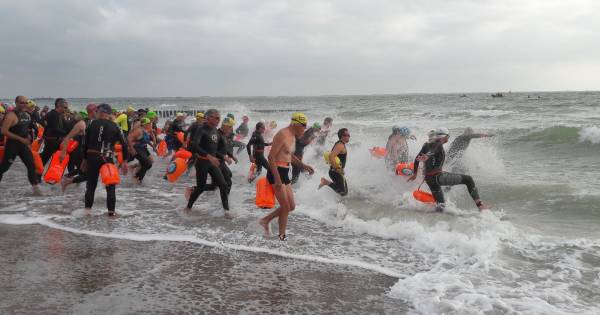 Zeezwemmen langs Walcherse kust is niet voor watjes