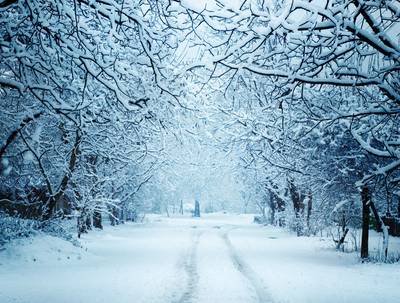 Kleurrijk 'Snow'-spektakel in Heerle