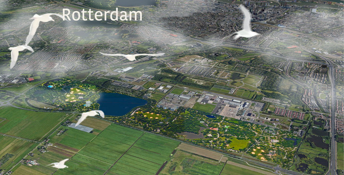 De provincie Zuid-Holland laat onderzoeken of een andere invulling van Rotterdam The Hague Airport de financiering van een nieuwe luchthaven op een andere plek mogelijk maakt. 