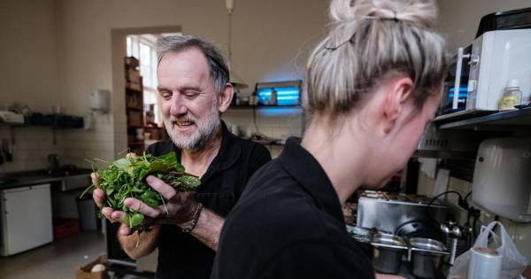 Kruiden en bier: steeds meer horeca zijn 'zelfvoorzienend' - AD.nl