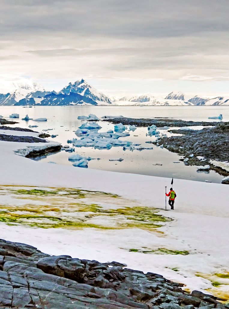 Zee-ijs kleurt groen op Antarctica