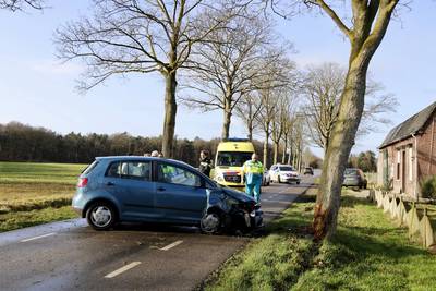 Bejaarde man botst tegen boom in Holthees
