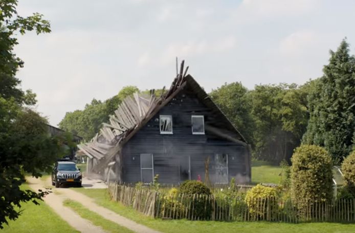 Reclamewaakhond vindt Reaal-spotje met houtkever van Freek ...