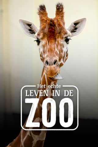 Het Echte Leven in de ZOO