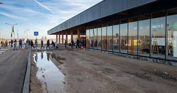 Actie gewenst tegen laagvliegroute Dieren