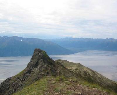 Zwarte beer doodt tiener tijdens bergloop Alaska