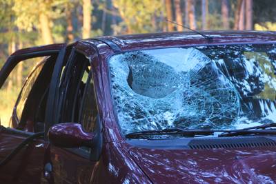 Meisje (8) zwaargewond na tak door ruit rijdende auto