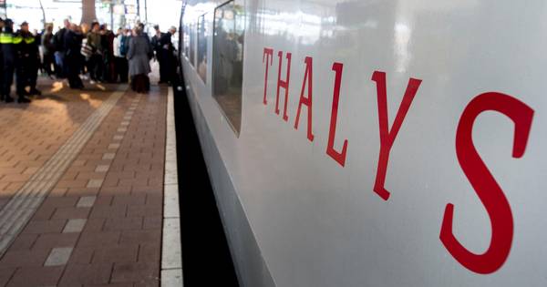 Thalys naar Amsterdam rijdt everzwijn aan | Brabant - BN DeStem