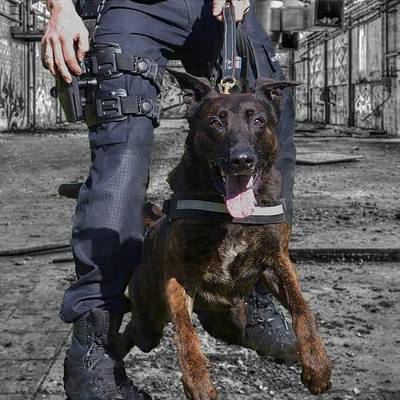 Man (44) opgepakt die inbreekt in huis van zijn bange ouders