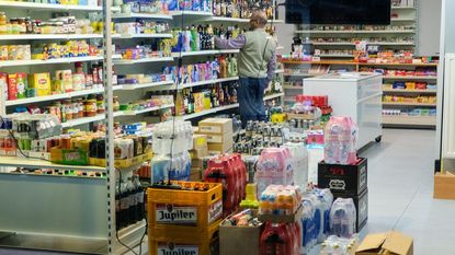 De boomhut kampenhout