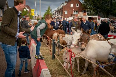Handjeklap op 1,5 meter onmogelijk; Paardenmarkt Elst voor het eerst afgeblazen