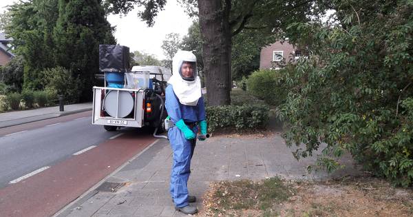 Maanmannetjes in Leuth