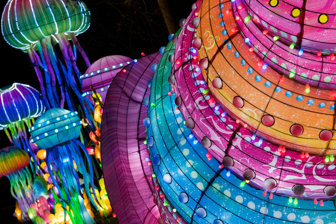 China Light Festival In Ouwehands Dierenpark Is Alsof Je In Een